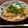 Marugame Seimen - 「きつねうどん」ネギもおろしもたっぷり入れました。 h28.3.11