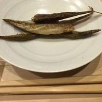 鮨処 つく田 - 