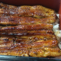 川越 いちのや - 鰻重綺麗！！