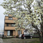 八郎鮨 - 雨が降っても玄関側には屋根付き駐車場ありBBQはOK!