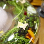 セララバアド - 蝶々も