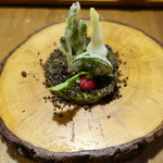 セララバアド - 春の大地