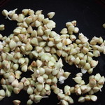 きさく - ’16、3、19　発芽蕎麦　発芽済の見本アップです。