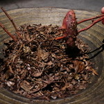 フロリレージュ - 