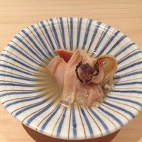 匠 進吾 - 
