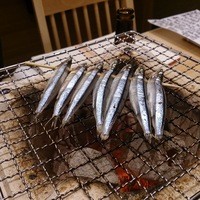 かどや 虎ノ門 - きびなごの七輪焼き