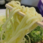 つけ麺 辛路 - 広島つけ麺らしい麺
