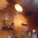 麺ハウス こもれ美 - スポットライトが木漏れ日のようです