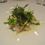 リストランテ カノフィーロ - スズキのカルパッチョ　ブロッコリーとしらす、オーリオリモーネ