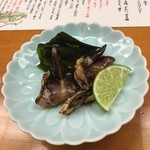 Toukyouoozushi - 