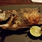 味噌坐　玉響 - 