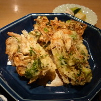 霞庭 まつばら - 芝海老のかき揚げ