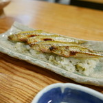 むろまち 加地 - 16.3月　もろこ