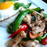パクチー・バー ゴールデン・バーニング - ガイ・パッ・バイガパオ（鶏肉とタイ産唐辛子のバジル炒めご飯）