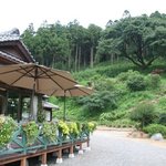 西洋館 - 樹齢１６０年の大山桜とCafe西洋館