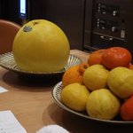 SUGALABO - かんきつ類