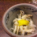 設楽 - 小さな魚ですが存在感があります