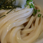 手打うどん 長谷沼 - うどんアップ