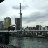 浅草むぎとろ 本店 - 