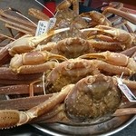こう屋旅館 - タグ付き松葉がに　始めに見せてくれます