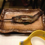 滝と蕎麦の宿 瀧見館 - 焼物