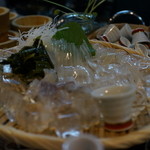 田吾作 - ヤリイカの活造り