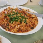 Xilaton - 麻婆豆腐