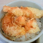 Seto Udon - 