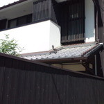 発酵薬膳&カフェ カワセミ - 外観