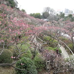 村田商店 - 池上梅園