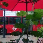 TAS - テラスの緑が心地よい