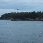 望洋樓 - お部屋からは東尋坊のタワーが見えます