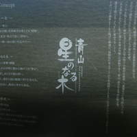 青山 星のなる木 - お店ロゴ