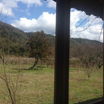 喫茶トラカイ - 