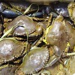 Temple Spice Crabs - 