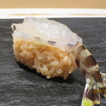 鮨 なかや - 車海老（生）