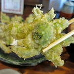 ながや - ふきのとう！