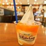 ミルク&パフェ よつ葉ホワイトコージ - 北海道メロンのパフェ