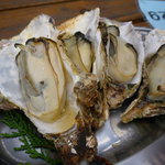 焼きガキの孝志丸 かきっこ - 