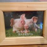 ル・コションドール・キタノ - 内観：店名はフランス語で『金の豚』可愛い豚さんが店内のあらゆるトコロに