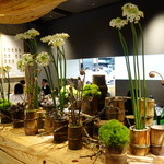 RAW - 美しい植物