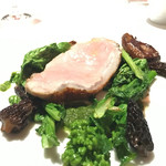 レフェルヴェソンス - 