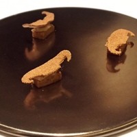 カンテサンス - 
