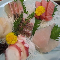 浅草 魚料理 遠州屋 - 