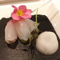 代官山ASO チェレステ 日本橋店 - 