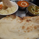 シャンティ - 海老カレーとほうれん草カレー
