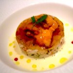 マノワール・ディノ - 