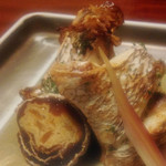 山映 - 話題の鯛