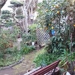 紫仙庵 - お庭