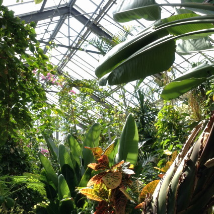 下賀茂熱帯植物園 name=